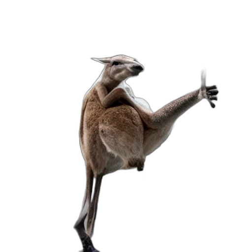 animal, creature, dragon, staff, concept art, photorealistic, kangaroo, doing transparent PNG cut-out
