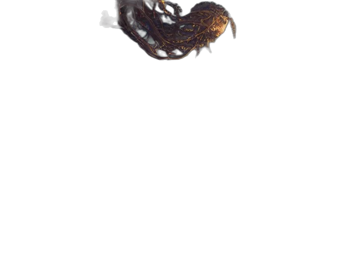 hair, animal, crown, creature, photorealistic, concept art, 3d render, underwater transparent PNG cut-out