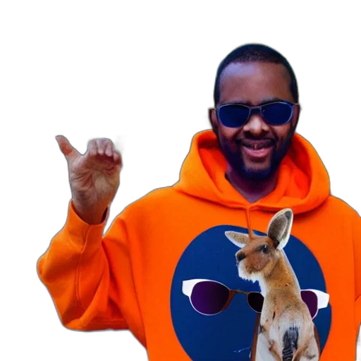 jacket, animal, portrait, photo, kangaroo, wearing, orange, hoodie transparent PNG cut-out