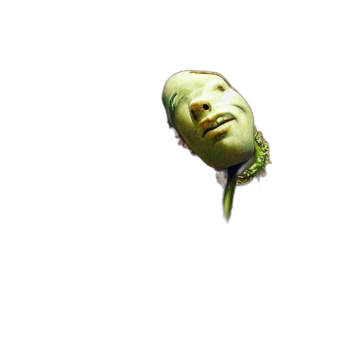 mask, face, creature, staff transparent PNG cut-out