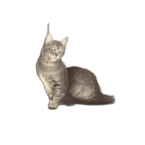 staff, animal, crown, creature transparent PNG cut-out