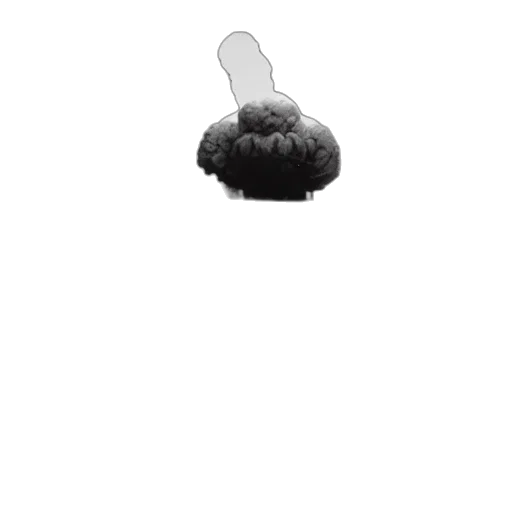 umbrella, hair, hat, food transparent PNG cut-out