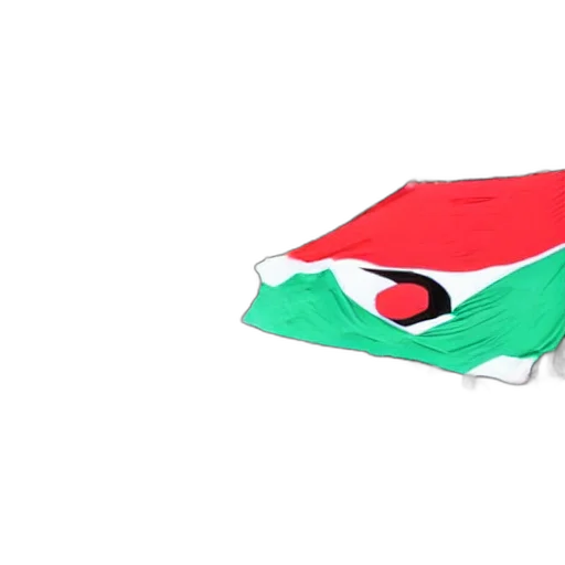 3d render, freedom, palestina transparent PNG cut-out