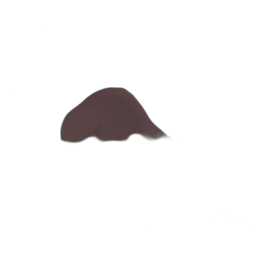 hat, hair, face, staff transparent PNG cut-out