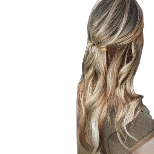 hair, crown, staff, photorealistic transparent PNG cut-out