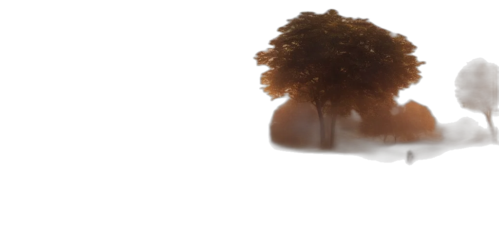 tree, hair, crown, creature transparent PNG cut-out