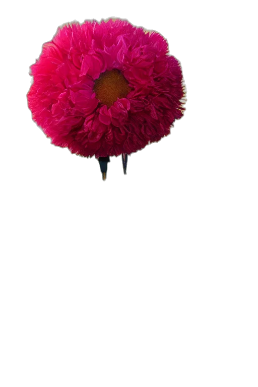 flower, hat, umbrella, crown transparent PNG cut-out