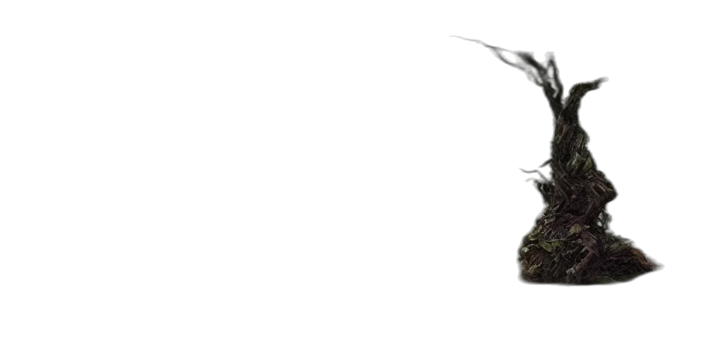 animal, dragon, staff, hair transparent PNG cut-out