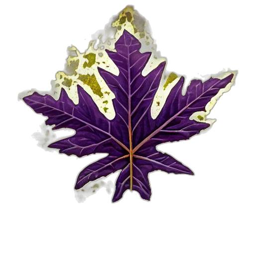 crown, jewelry, flower, tree transparent PNG cut-out