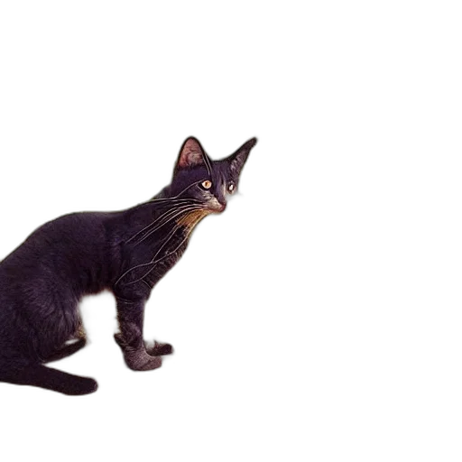 animal, staff, creature, weapon transparent PNG cut-out