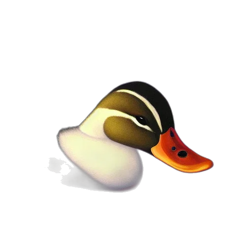 hat, animal, shoes, mask transparent PNG cut-out