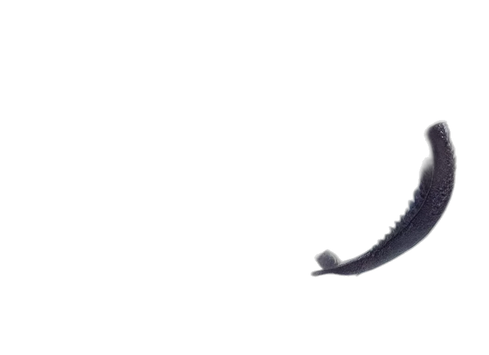 staff, hair, shoes, dragon, concept art, pixel art, anime, cartoon transparent PNG cut-out