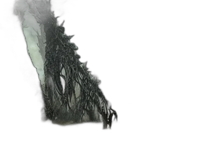dragon, creature, sword, tree transparent PNG cut-out
