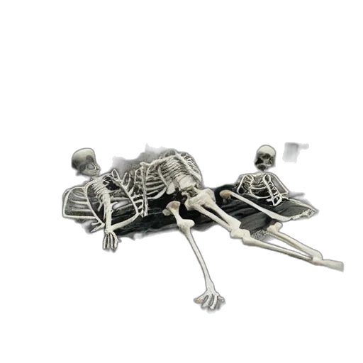 jewelry, robot, weapon, 3d render, old, polaroid, skeleton, family transparent PNG cut-out