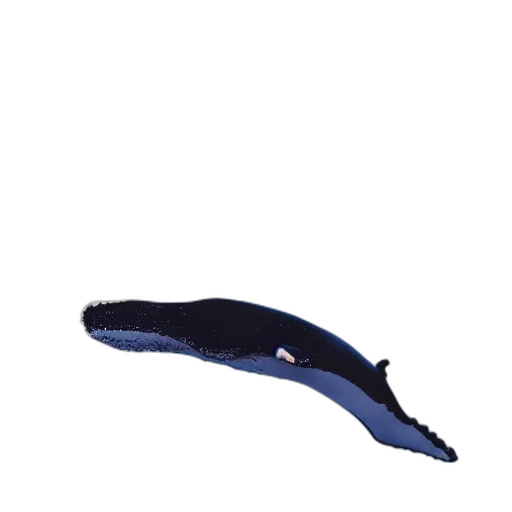 shoes, hat, umbrella, staff transparent PNG cut-out