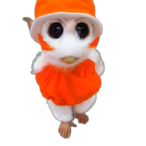 hat, animal, creature, staff transparent PNG cut-out