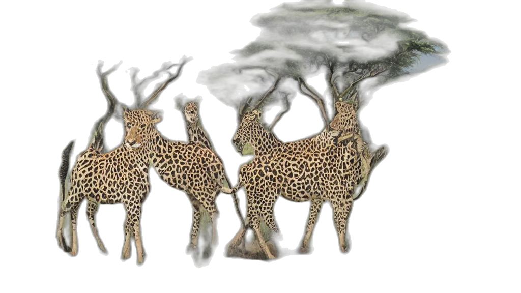 animal, concept art, 3d render, fantasy art, photorealistic, fog, forest, safari transparent PNG cut-out