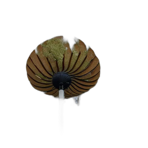 umbrella, hat, flower, jewelry, 3d render, photorealistic, concept art, earth tones transparent PNG cut-out