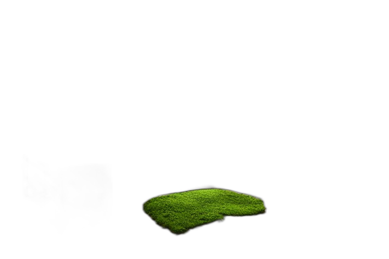 hat, shoes, tree, hair, 3d render, photorealistic, pixel art, concept art transparent PNG cut-out