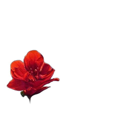 flower, crown, weapon, jewelry, 3d render, photorealistic, pixel art, concept art transparent PNG cut-out