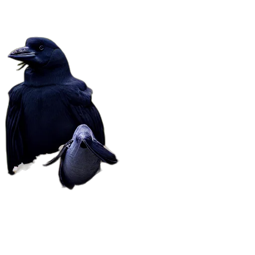 animal, hat, creature, staff transparent PNG cut-out