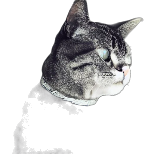 animal, staff, face, creature, photorealistic, 3d render, vaporwave, pixel art transparent PNG cut-out
