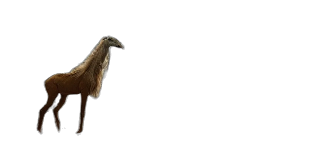 animal, creature, hair, staff transparent PNG cut-out