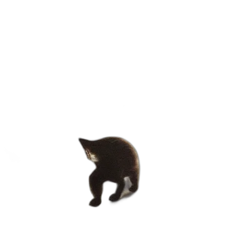 animal, creature, staff, hat transparent PNG cut-out