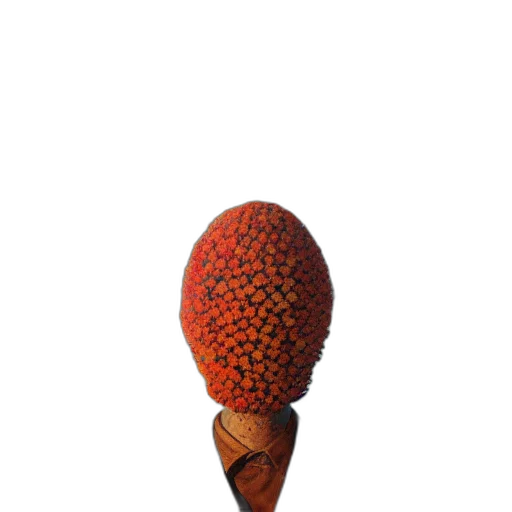 staff, food, hat, umbrella transparent PNG cut-out