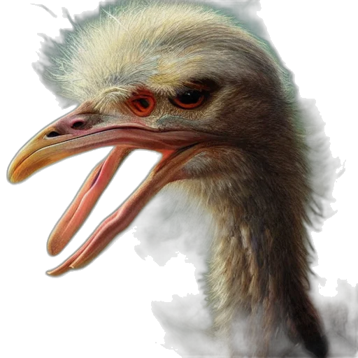 animal, creature, face, hair, photorealistic, 3d render, concept art, oil painting transparent PNG cut-out
