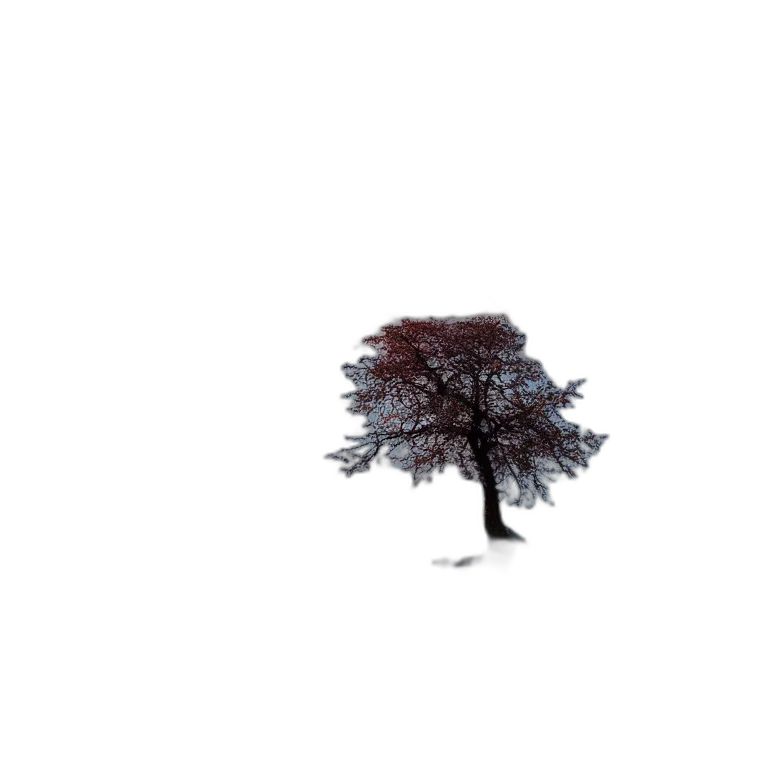 tree, umbrella, crown, animal, 3d render, photorealistic, pixel art, concept art transparent PNG cut-out