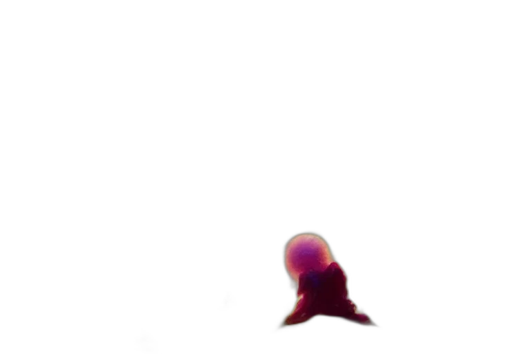 hat, hair, creature, crown, 3d render, vaporwave, concept art, pixel art transparent PNG cut-out