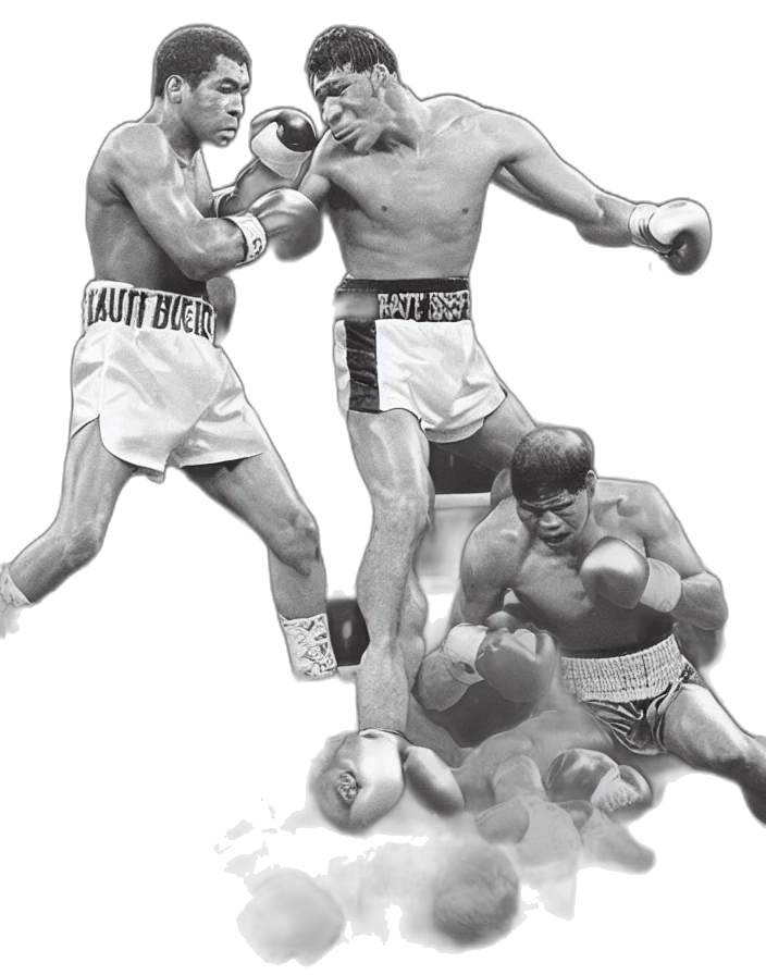 photorealistic, concept art, legendary, boxer transparent PNG cut-out