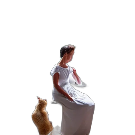 dress, furniture, animal, creature transparent PNG cut-out