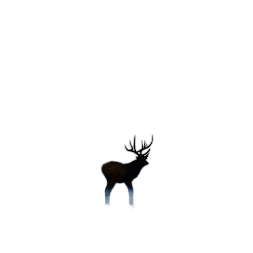 animal, creature, crown, hat transparent PNG cut-out