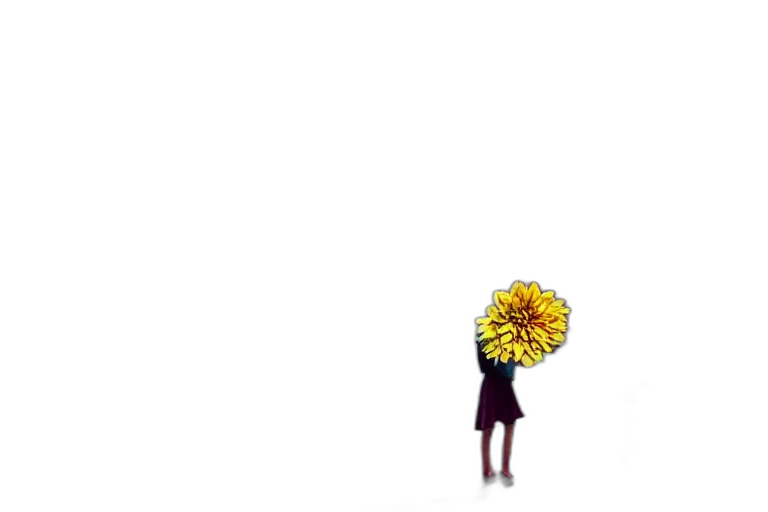 flower, dress, umbrella, crown, pixel art, concept art, 3d render, anime transparent PNG cut-out