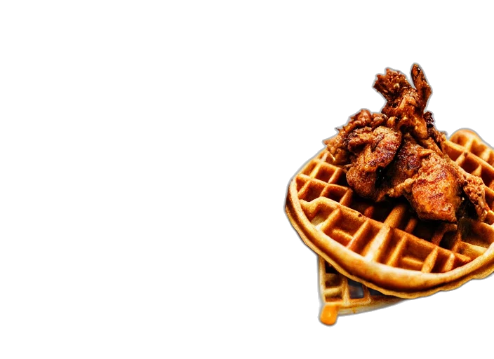 food, animal, dslr, photograph transparent PNG cut-out