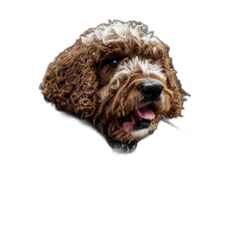 animal, staff, face, creature, photorealistic, pixel art, 3d render, concept art transparent PNG cut-out