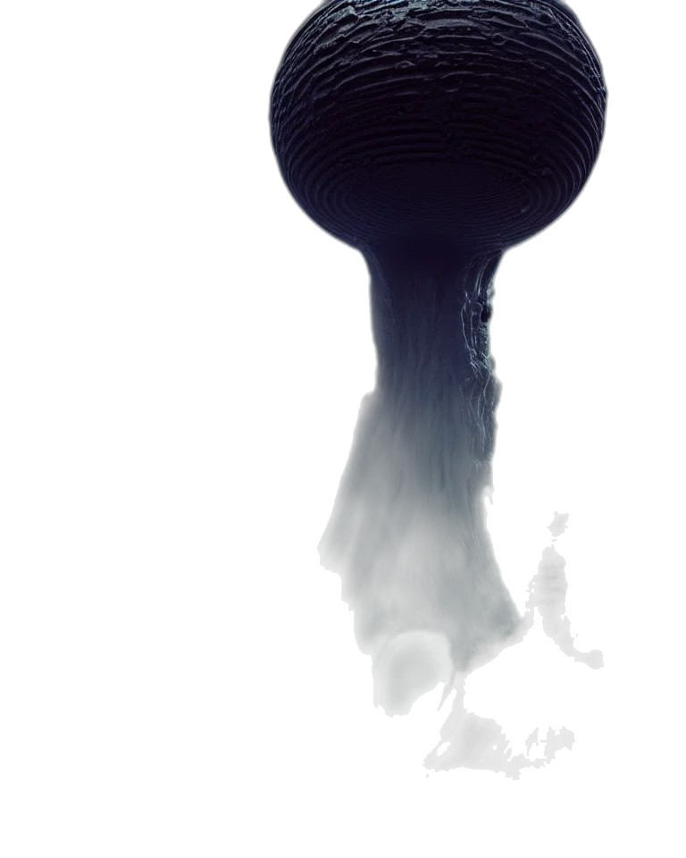 hair, crown, hat, umbrella transparent PNG cut-out