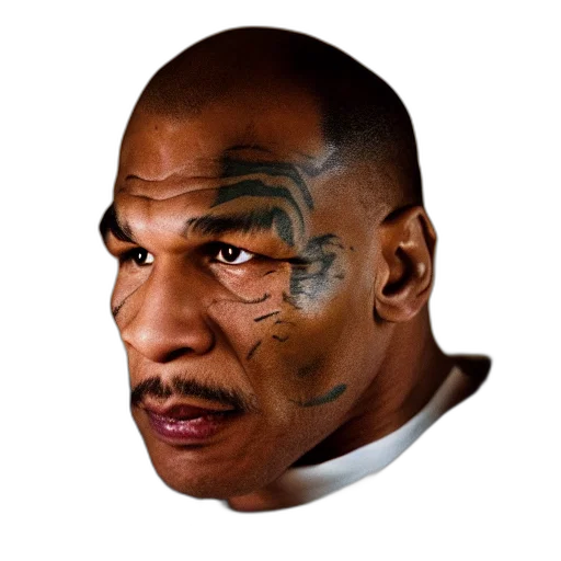 face, mask, animal, creature transparent PNG cut-out