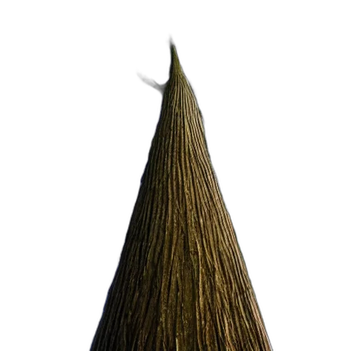 hair, hat, staff, crown, 3d render, photorealistic, concept art, tallest transparent PNG cut-out