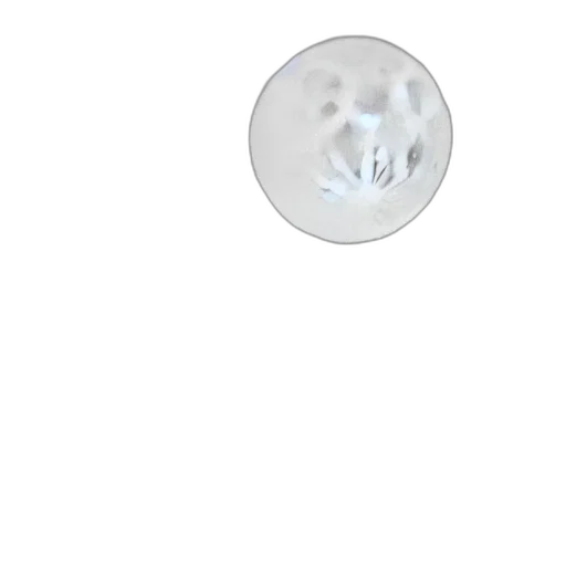 mask, face, jewelry, umbrella transparent PNG cut-out