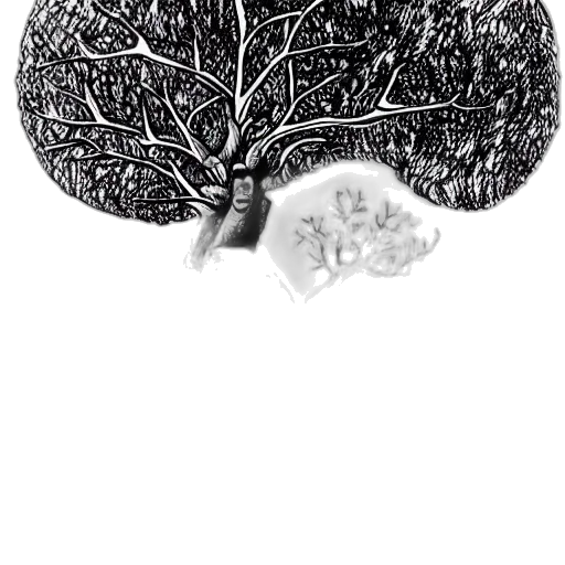 tree, crown, hair, jewelry, pencil sketch, photorealistic, concept art, monochrome transparent PNG cut-out