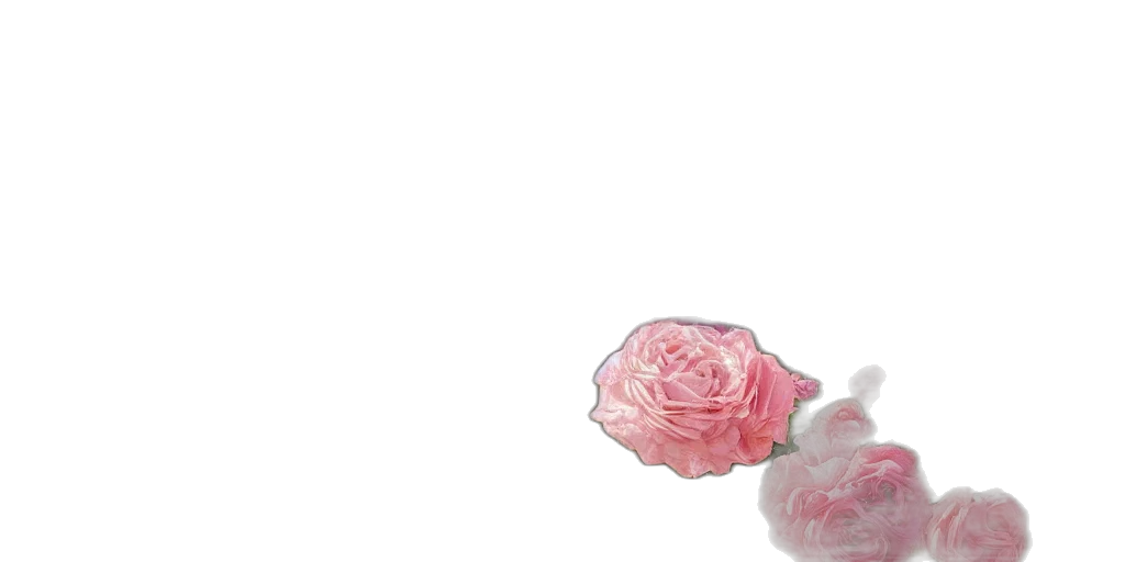 flower, crown, hat, dress transparent PNG cut-out