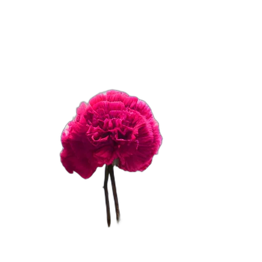 flower, crown, hat, umbrella, 3d render, photorealistic, concept art, pixel art transparent PNG cut-out