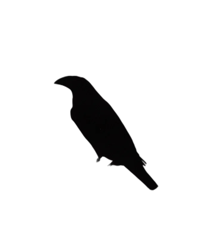 animal, staff, creature, hat, pixel art, concept art, photorealistic, 3d render transparent PNG cut-out