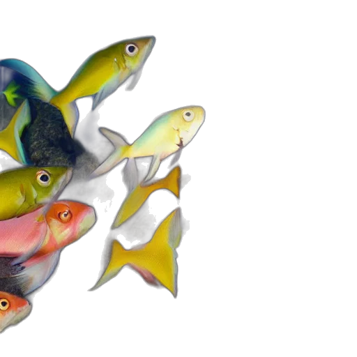 3d render, photorealistic, watercolor, concept art transparent PNG cut-out