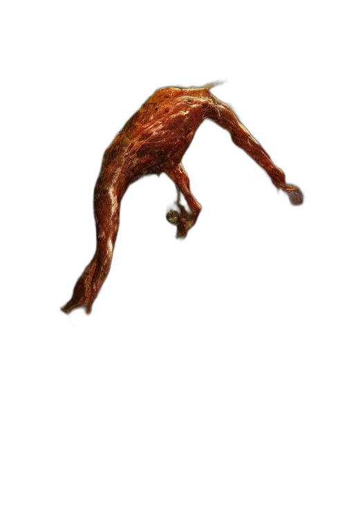 animal, creature, dragon, food, photorealistic, concept art, 3d render, giant transparent PNG cut-out