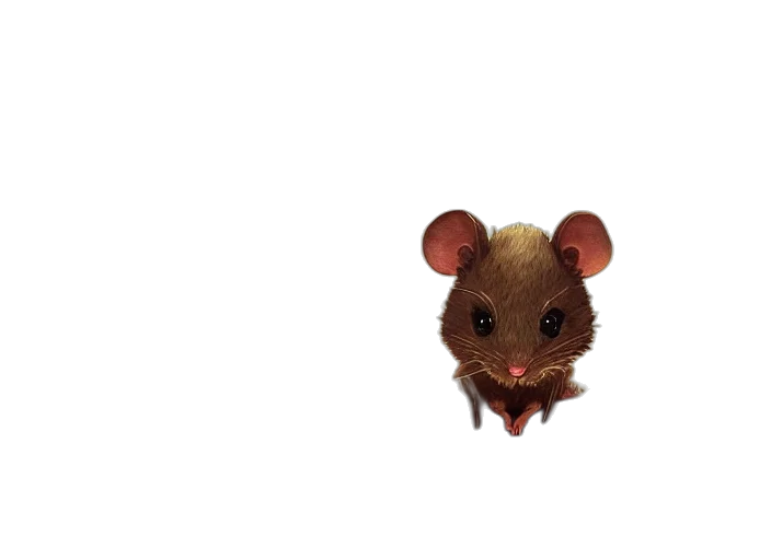 animal, creature, face, mask transparent PNG cut-out
