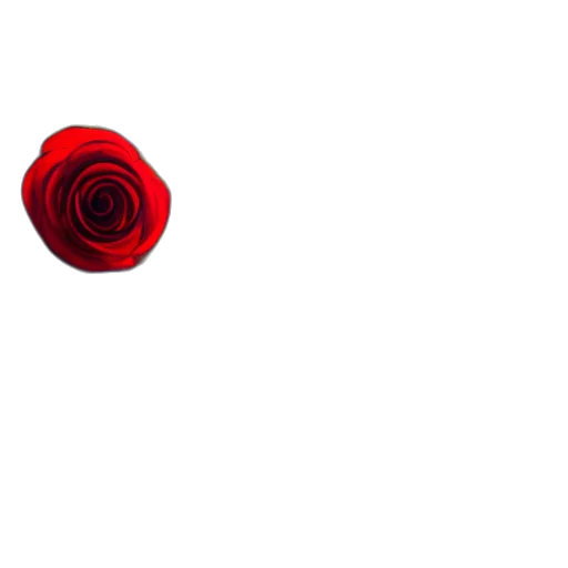 flower, jewelry, umbrella, staff transparent PNG cut-out